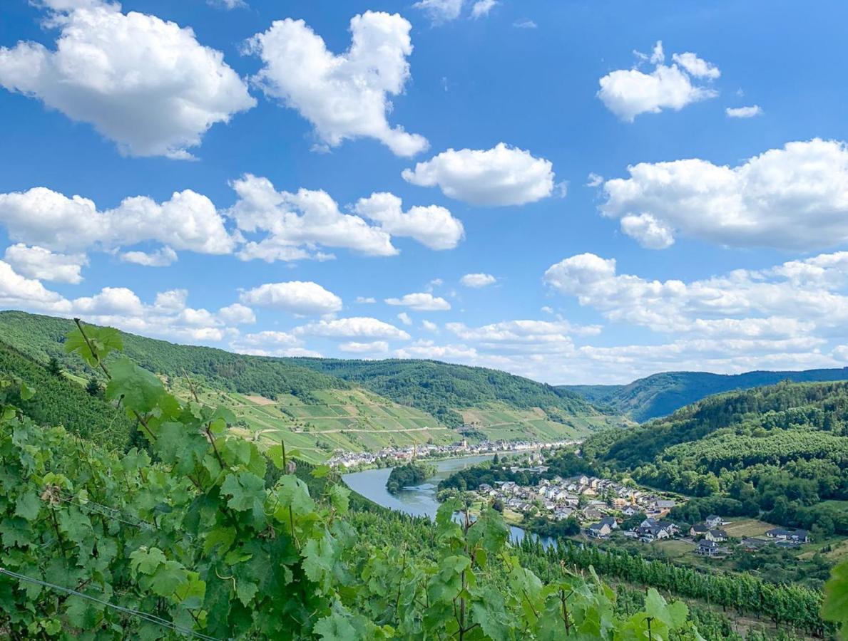 צל אן דר מוזל Das Haus In Spay An Der Mosel Mit Sauna מראה חיצוני תמונה